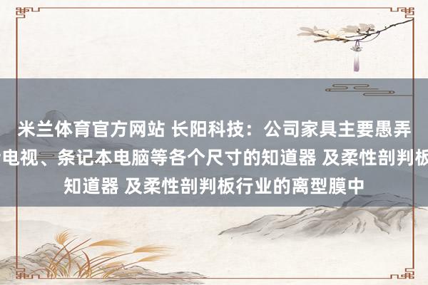米兰体育官方网站 长阳科技：公司家具主要愚弄于知道鸿沟 包括电视、条记本电脑等各个尺寸的知道器 及柔性剖判板行业的离型膜中