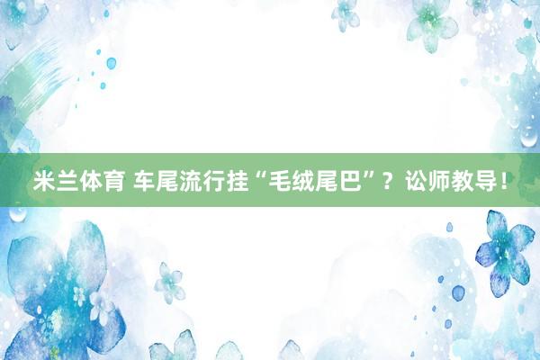 米兰体育 车尾流行挂“毛绒尾巴”？讼师教导！